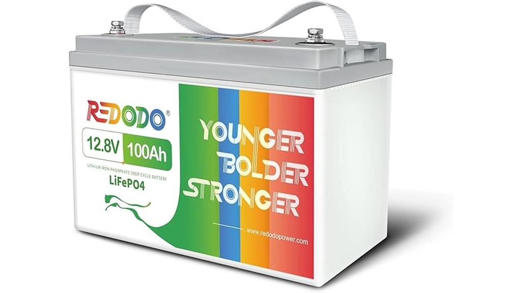 12 volt 100ah battery