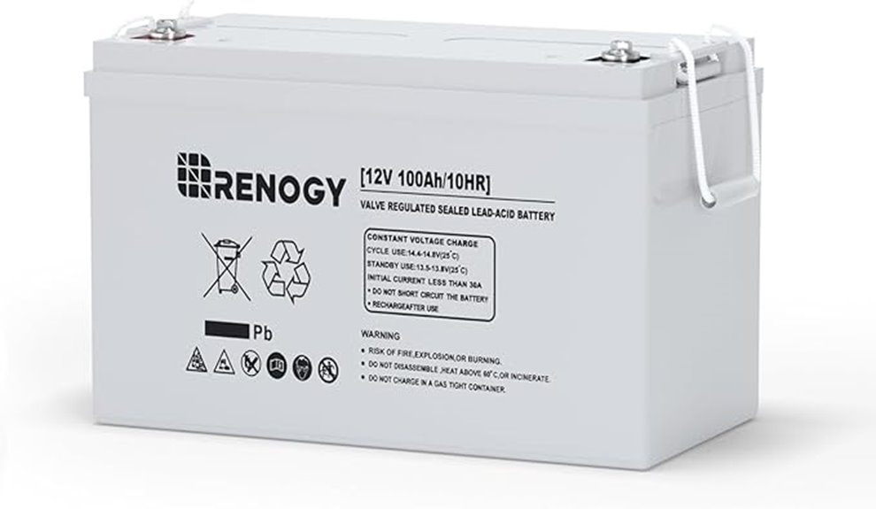 12 volt 100ah battery