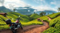 malaysian highlands coffee tour
