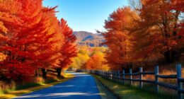 nine day autumn leaf tour