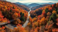 peak fall scenic drive