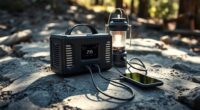 portable power station care