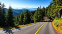 scenic black forest drive