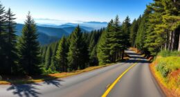 scenic black forest drive