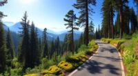 scenic black forest route