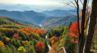smoky mountains all seasons