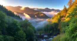 smoky mountains all seasons