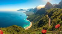 south africa garden route tour