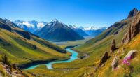 south island scenic tour