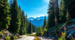 summer rockies scenic drive