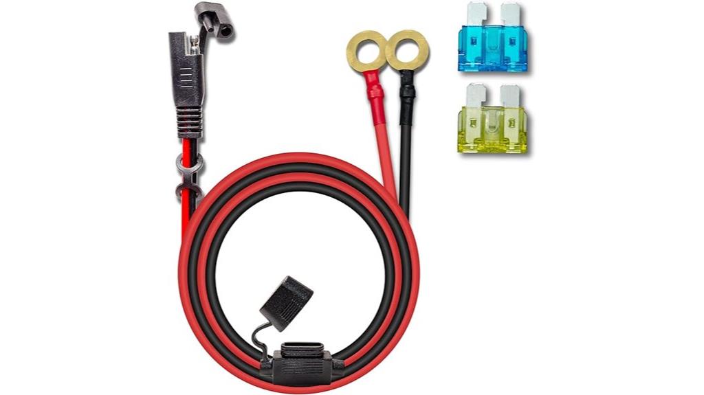 10 awg fuse extension