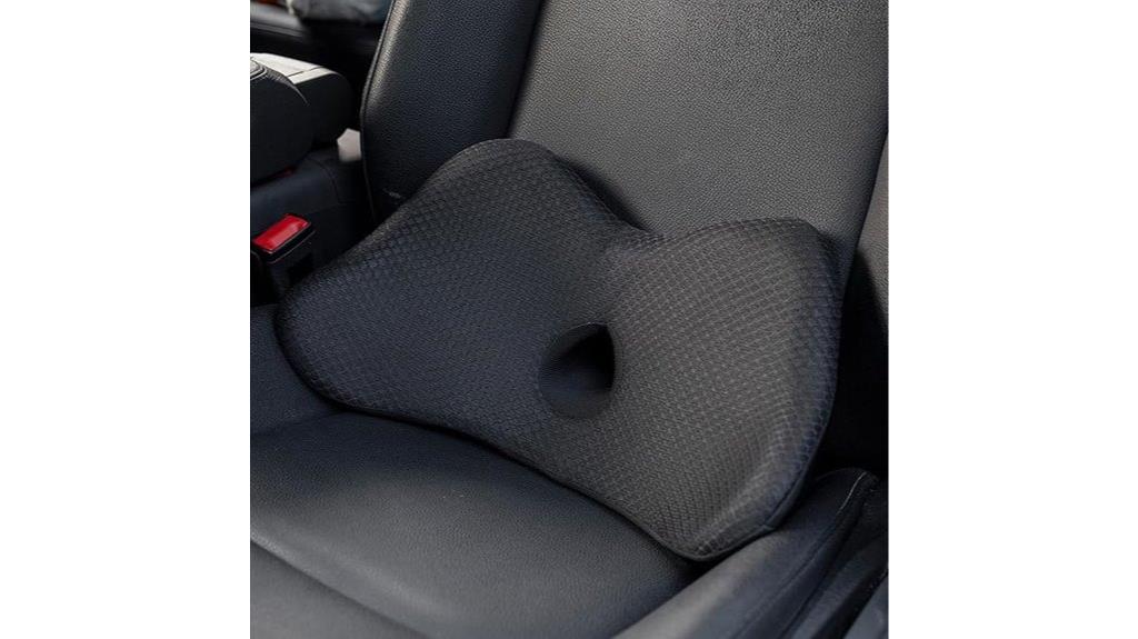 car and office lumbar pillow