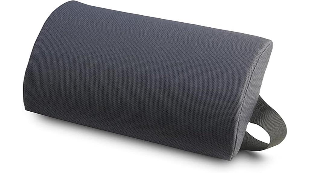 lumbar support for travel