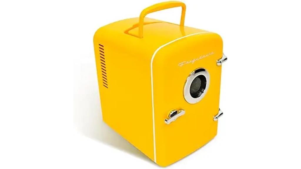 mini portable fridge cooler