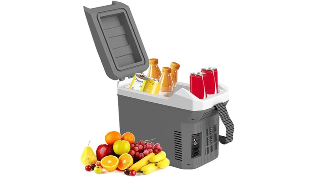 portable 8l cooler warmer