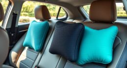 top car lumbar support pillows