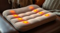 top heated seat cushions