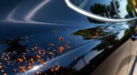 top iron fallout car cleaners