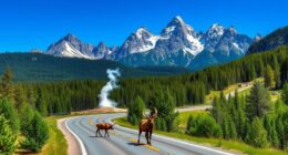 geysers and wildlife adventure