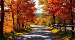 new england fall foliage tour