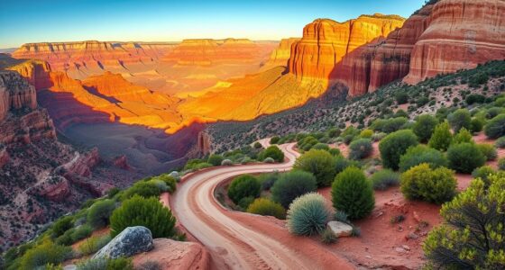 southwest canyon road trip