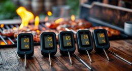 top grilling meat thermometers