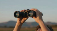 12 Best Top Rated Premium Binoculars for Stargazing for Road Trips in 2026