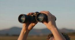 12 Best Top Rated Premium Binoculars for Stargazing for Road Trips in 2026