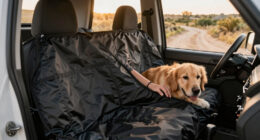 7 Best Premium Dog Seat Cover for Off-Grid Road Trips in 2026