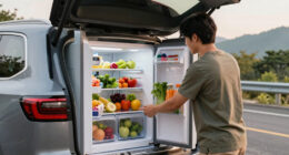 8 Best Car Refrigerator Dual-Zone for Off-Grid Road Trips with Easy Installation in 2026