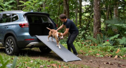 9 Best Dog Ramps for SUV Road Trips in 2026