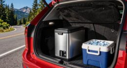 choosing when to bring ice