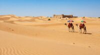 desert route simplifies travel