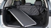 dog travel safety accessories