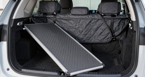 dog travel safety accessories