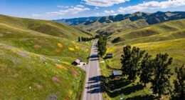 dream road trip map