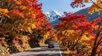 hokkaido fall road trip