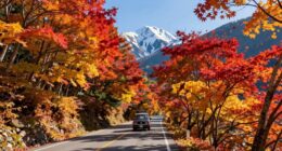 hokkaido fall road trip