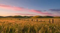 kansas prairie highway adventure