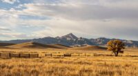 montana ranchlands spacious trip