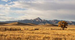 montana ranchlands spacious trip