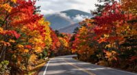 quiet fall mountain drive