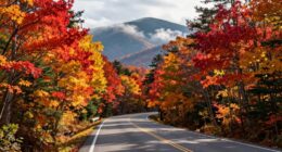 quiet fall mountain drive