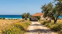 relaxed apulia seaside drive