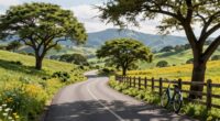 scenic leisurely road trip