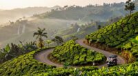 scenic mountain journey experience