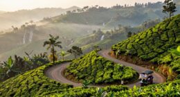 scenic mountain journey experience