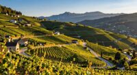 scenic slovenia wine tours