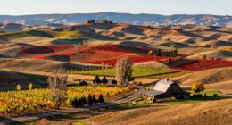 scenic washington wine tour