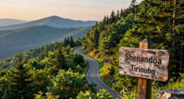shenandoah to blue ridge